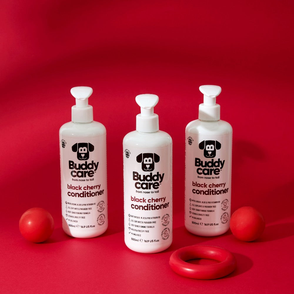 Black Cherry Dog CONDITIONER Buddycare (500ml)