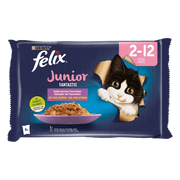 FELIX Fantastic Junior en Gelatina (48 x 85 gr)