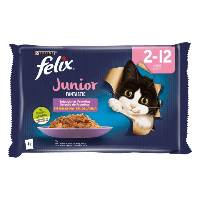 FELIX Fantastic Junior en Gelatina (48 x 85 gr)