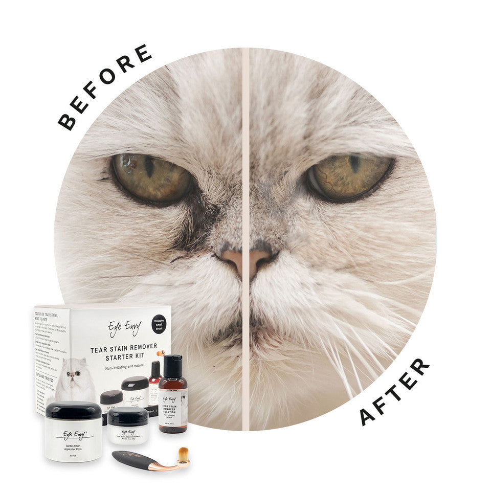 Kit de inicio removedor de manchas de lágrimas - Gato c/ Brocha ProPowder Pequeña