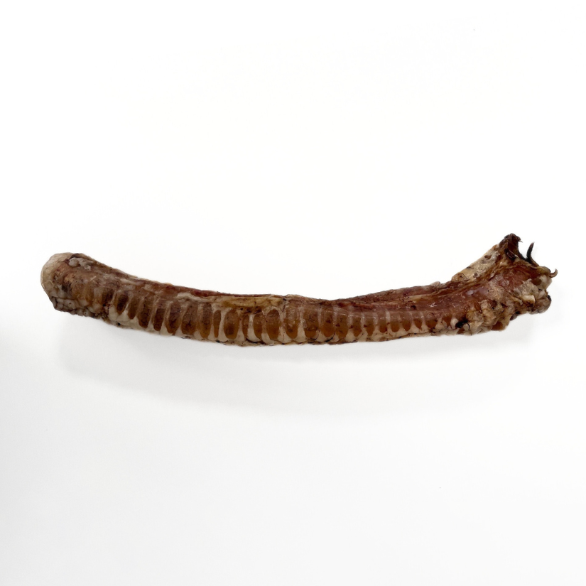 Tráquea XL de Ternera deshidratada (7u)