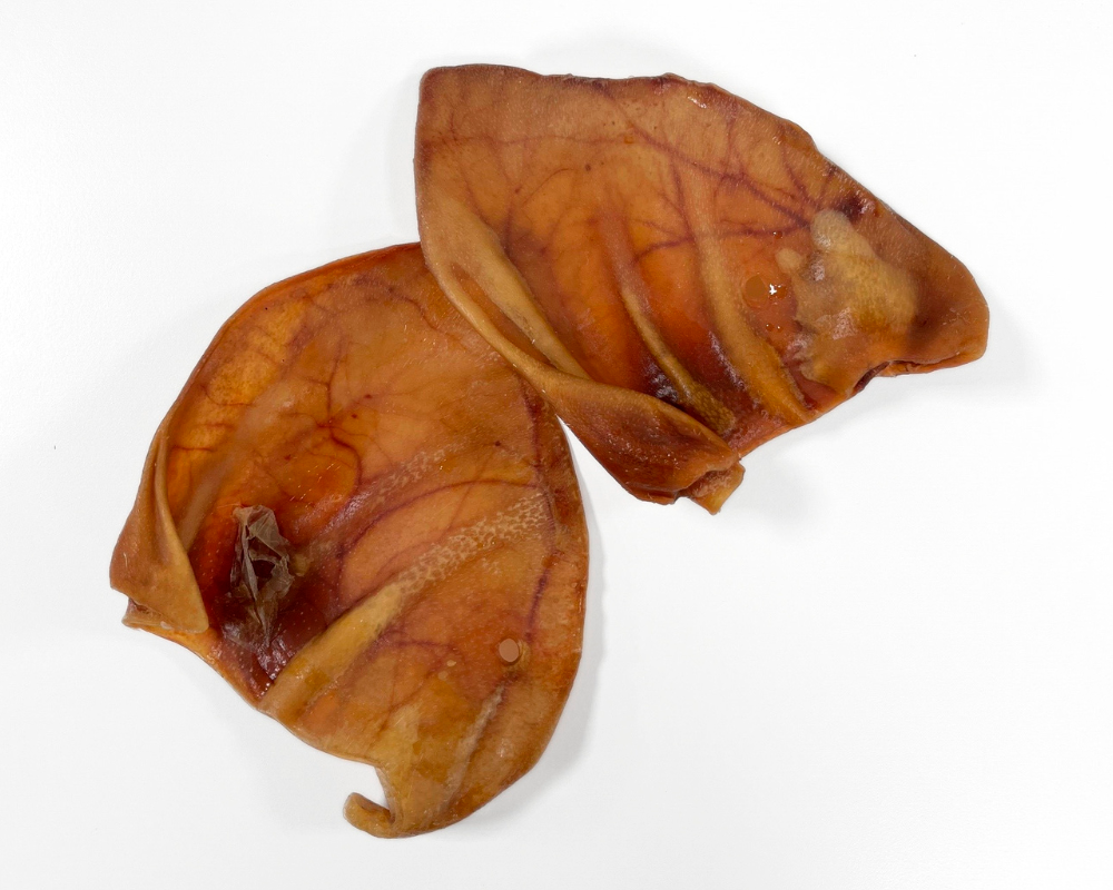 Oreja de Cerdo deshidratada (3u)
