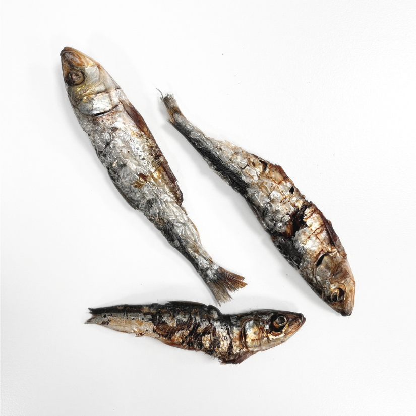 Sardina deshidratada (40u)