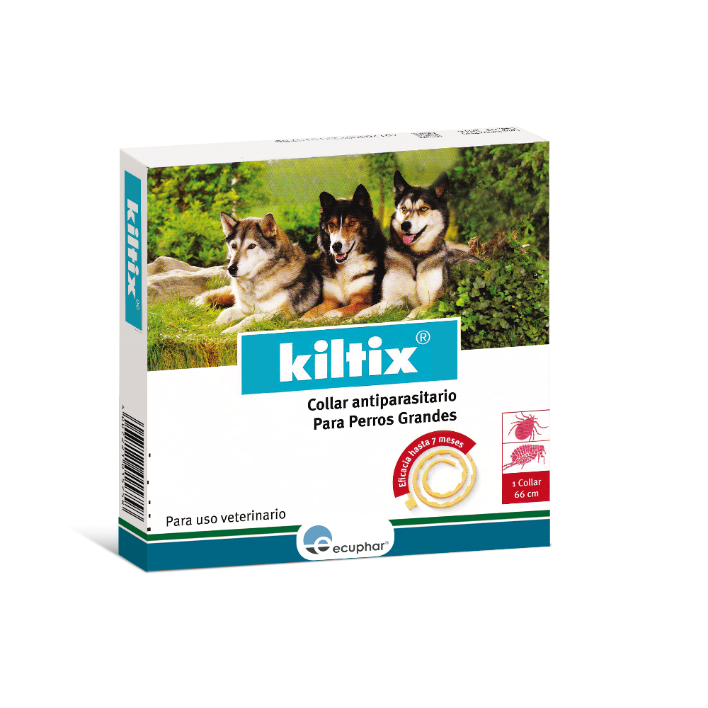 KILTIX perro Grande (+21kg)