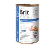 Brit HÚMEDO SG DV Perro RECUPERACIÓN Salmón