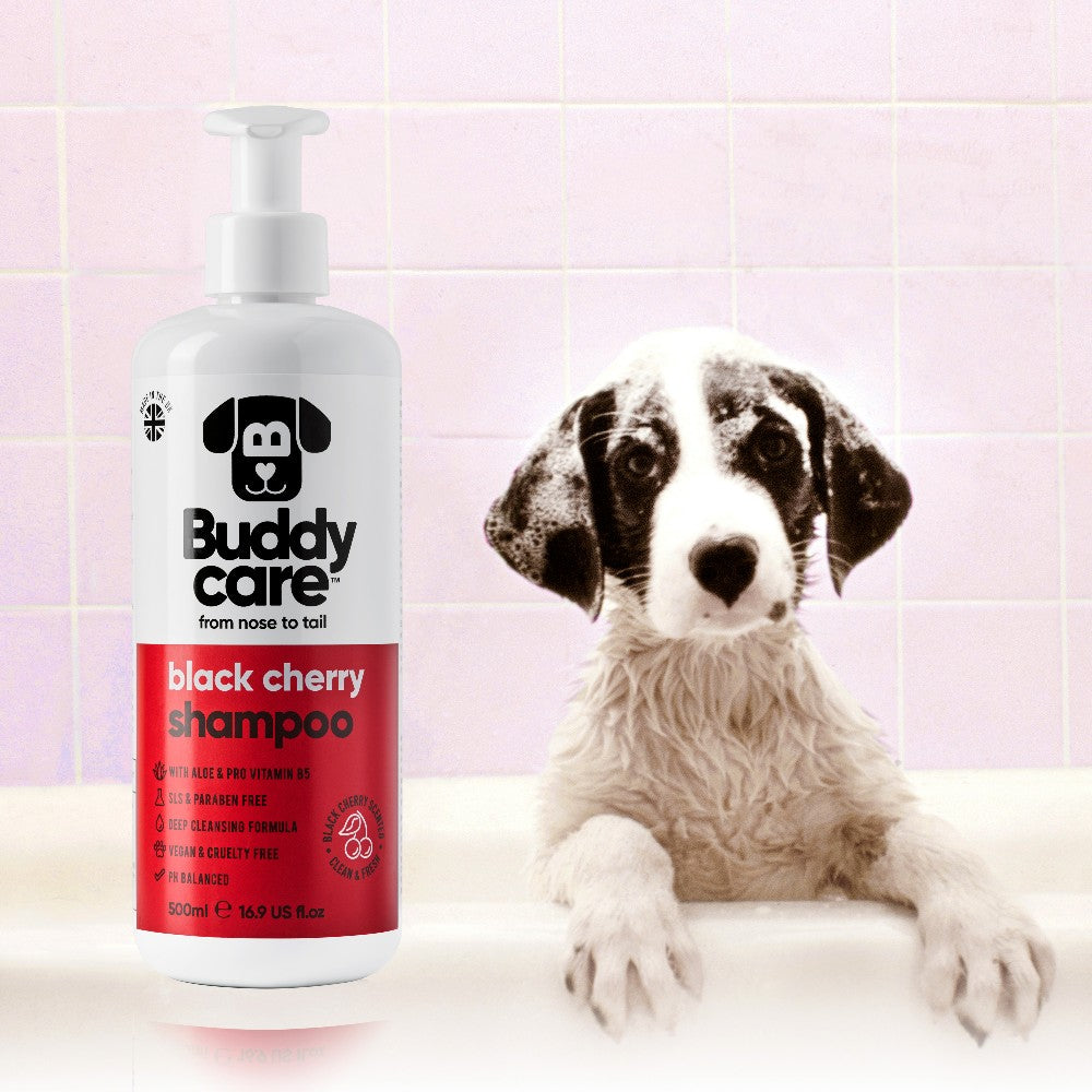 Black Cherry Dog SHAMPOO Buddycare (500ml)