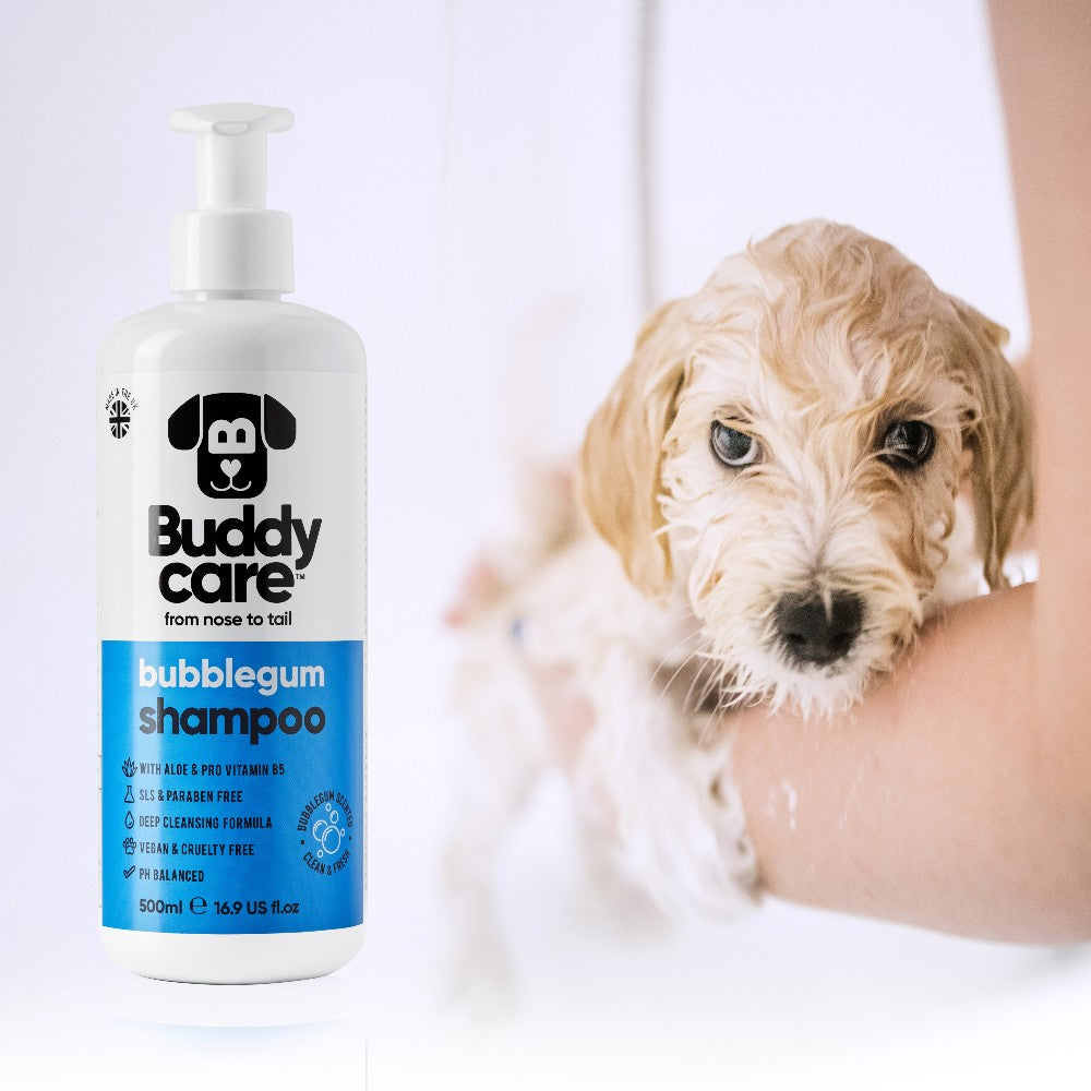 Bubblegum Dog SHAMPOO Buddycare (500ml)