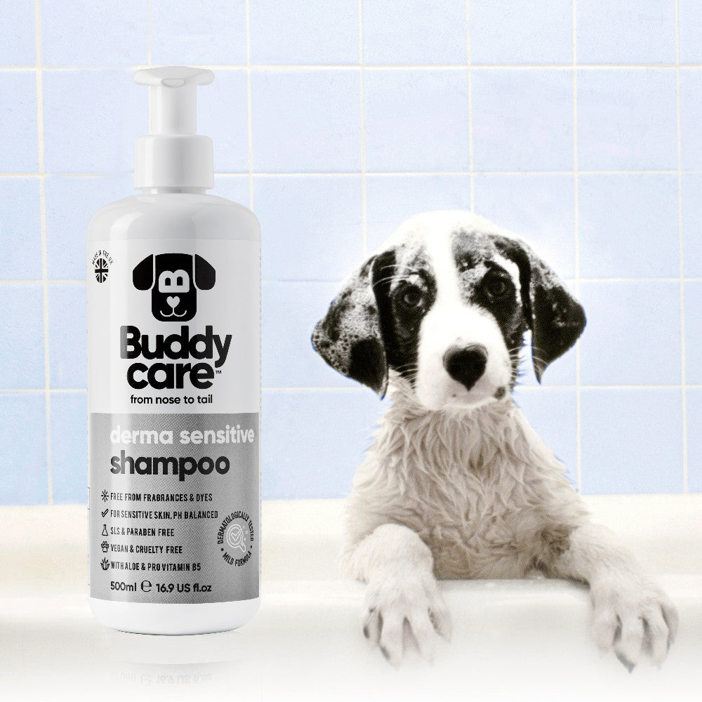 Derma Sensitive Dog SHAMPOO Buddycare (5L)