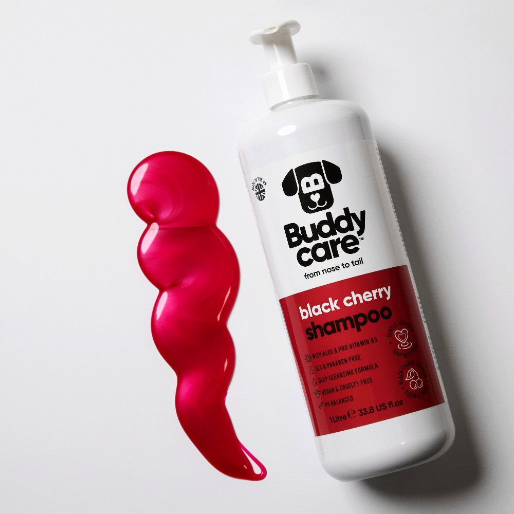 Black Cherry Dog SHAMPOO Buddycare (500ml)