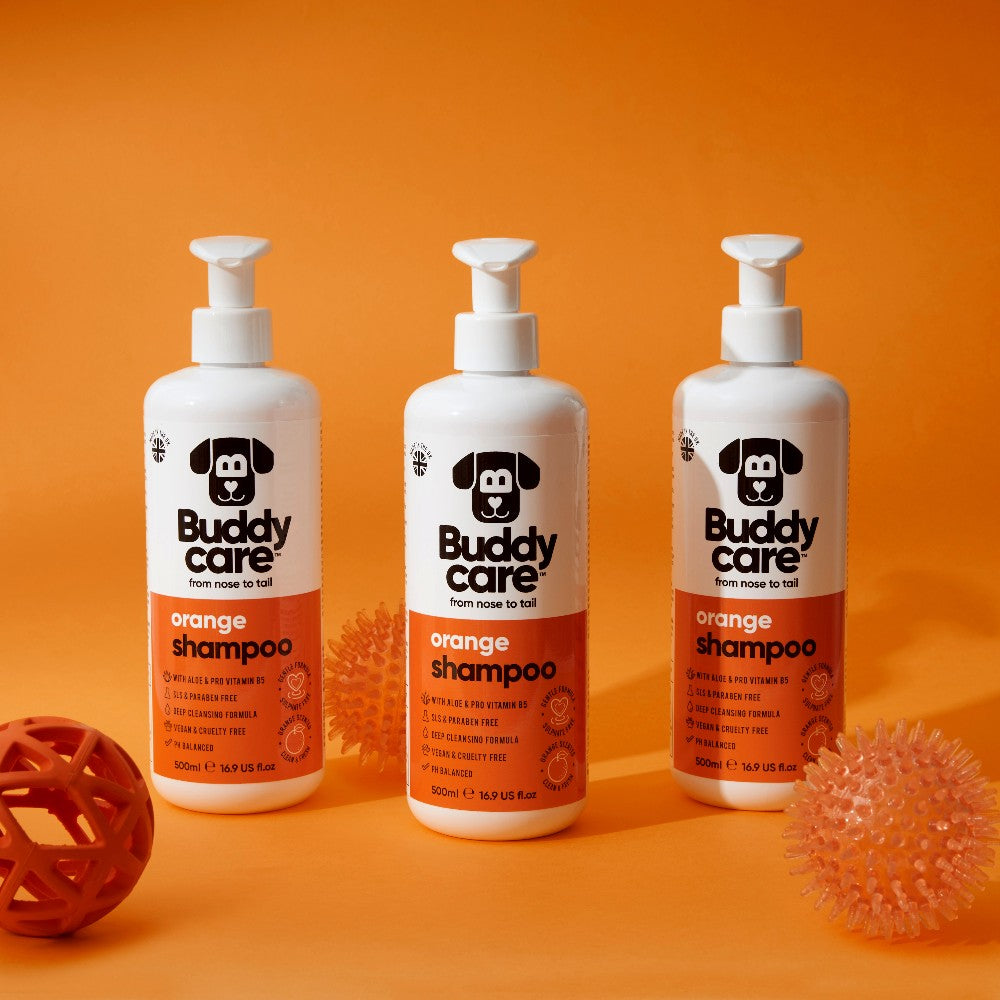 Orange Dog SHAMPOO Buddycare (500ml)