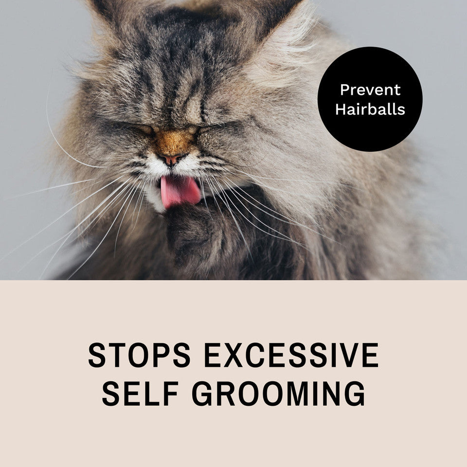 Peine ProGlide para gatos
