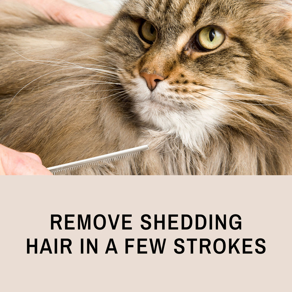 Peine ProGlide para gatos