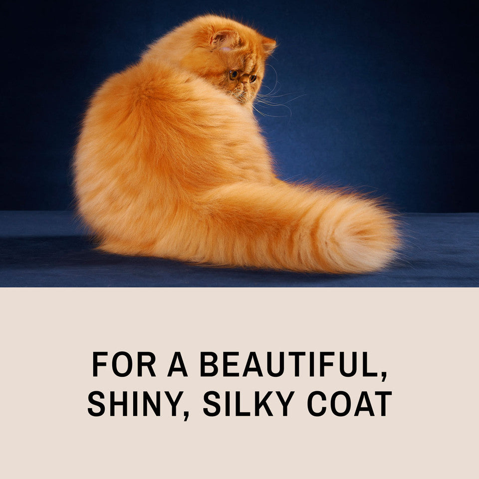 Peine ProGlide para gatos