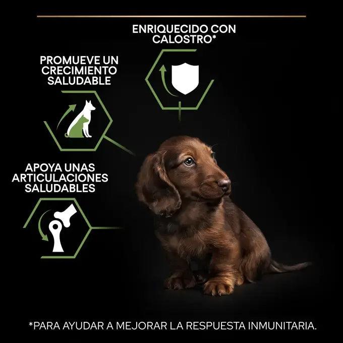 Purina Pro Plan Puppy Small Mini HEALTHY START de Pollo 3kg