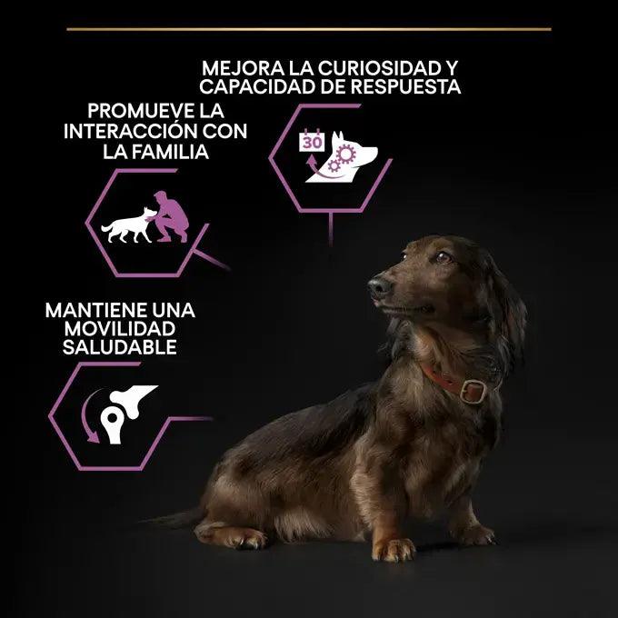 Purina Pro Plan Perro Adulto Pequeño y Mini 9+ Age defence 3 kg