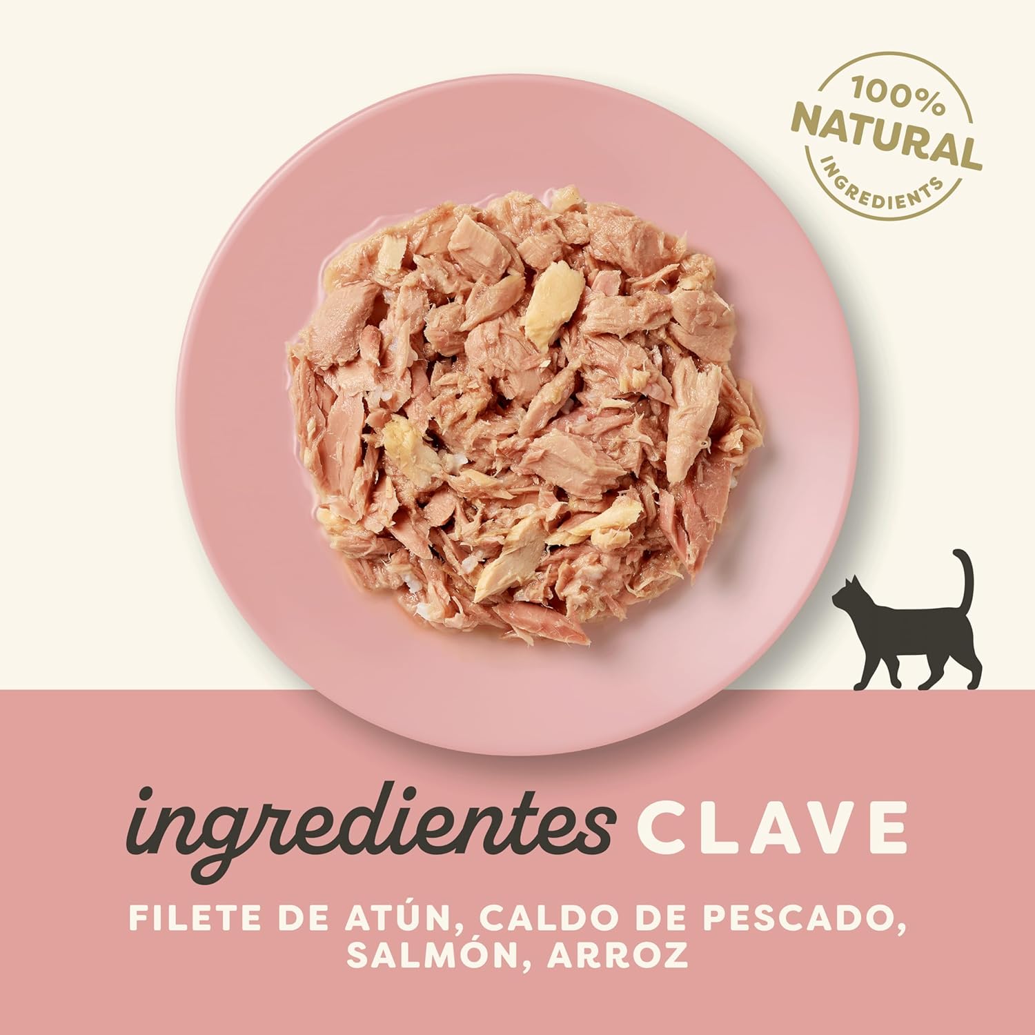 Applaws Cat Sobre Filete De Atun Y Salmon - Pack 12 x 70 gr
