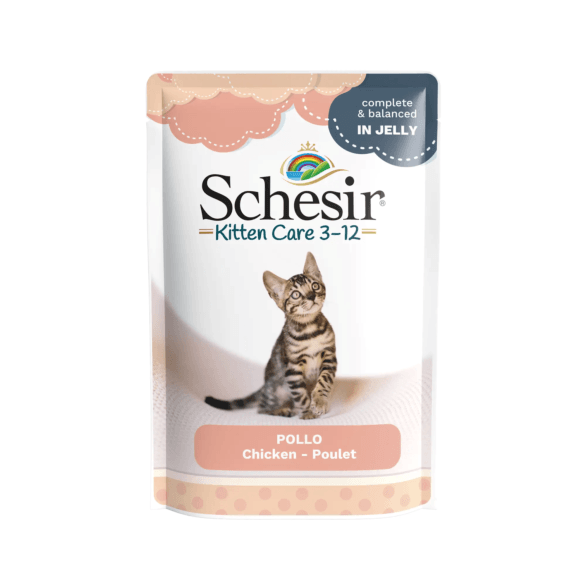 Pack Schesir filetes de Pollo en gelatina para gatitos (20x85gr)