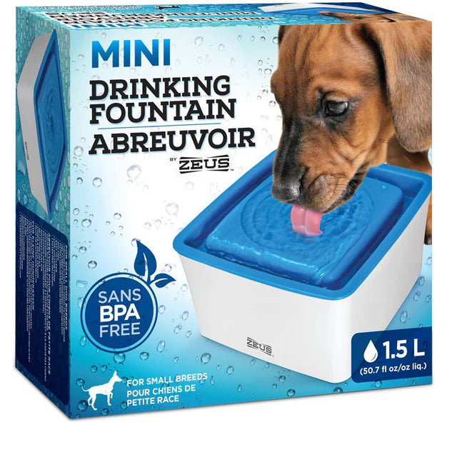 Bebederos y comederos para perros