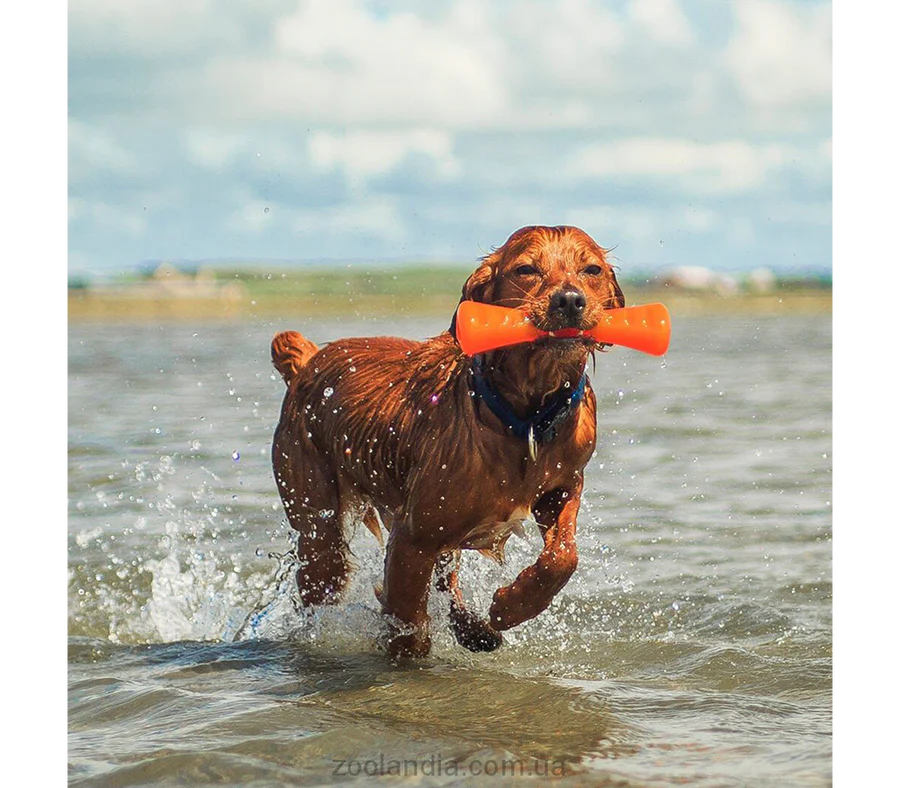 Juguetes ultra resistentes para perros BIONIC Urban Stick L