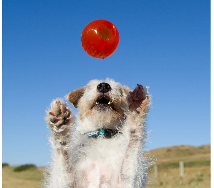 BIONIC Juguetes ultra resistentes para perros BIONIC Pelota Tamaño: M