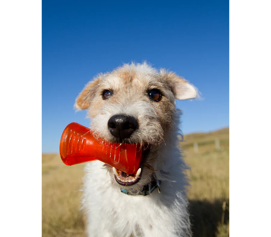 Juguetes ultra resistentes para perros BIONIC Hueso M