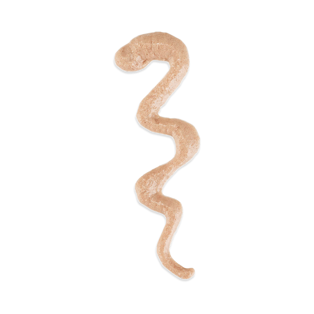 Snack Schesir Cat Stix Salmón