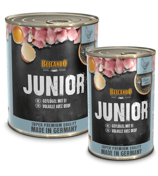 Belcando Junior ave con huevos Quality Selection