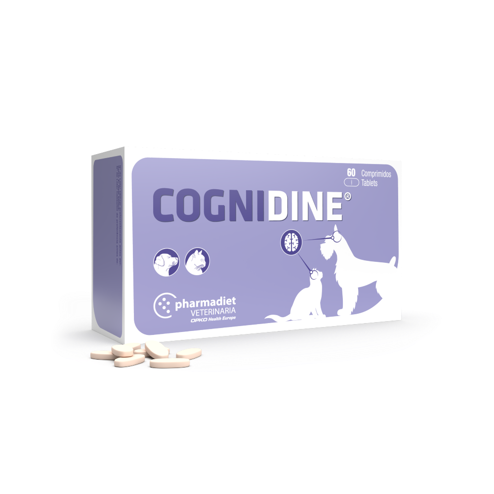 COGNIDINE (60 comprimidos)