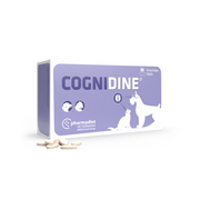 COGNIDINE (60 comprimidos)