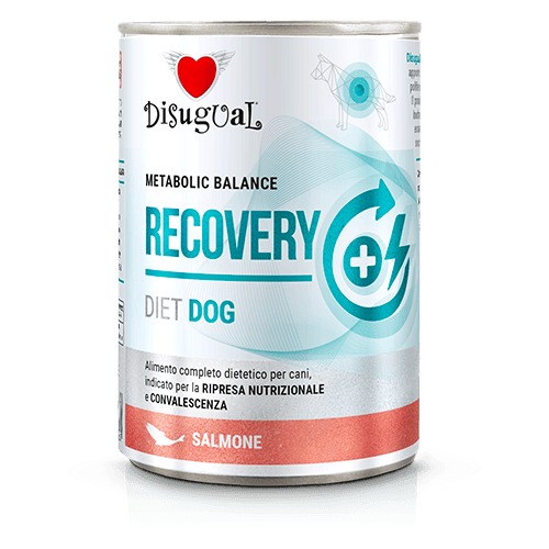 Disugual Perros en recuperación sabor Salmón 400 gr