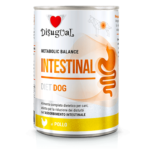 Disugual Perros Gastro Intestinal Sabor Pollo 400 gr