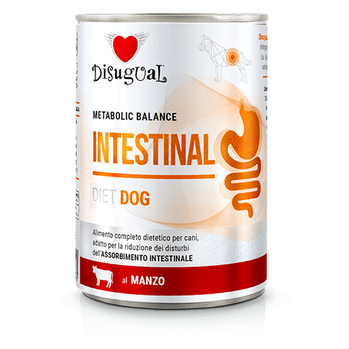 Disugual Perros Gastro Intestinal Sabor Ternera 400 gr