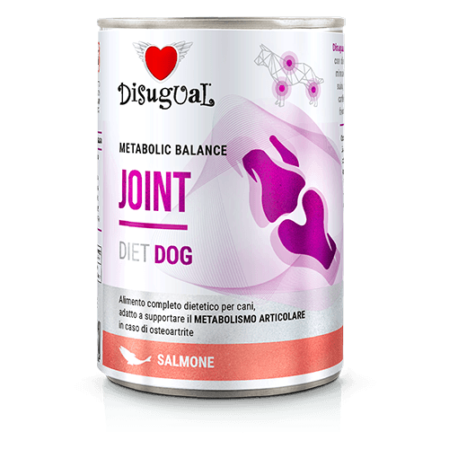 Disugual Perros para Articulaciones con Salmón 400 gr