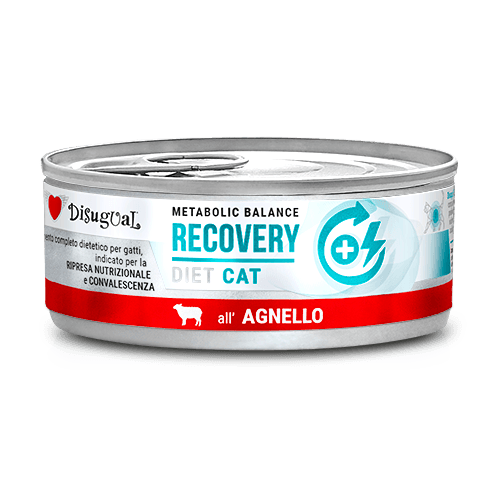 Disugual Metabolic Balance Recovery con Cordero (85g)