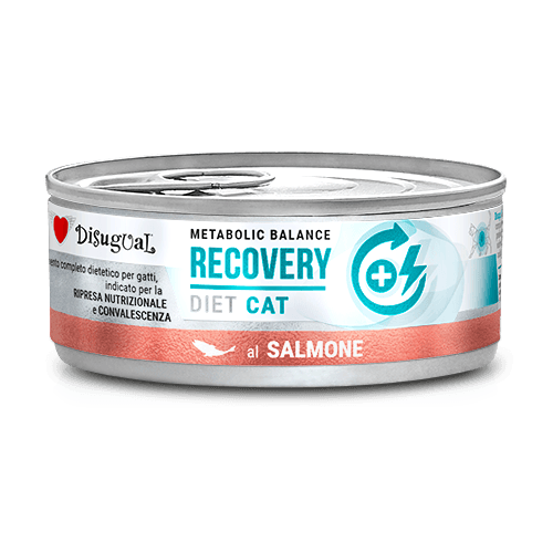 Disugual Metabolic Balance Recovery con Salmón (85g)
