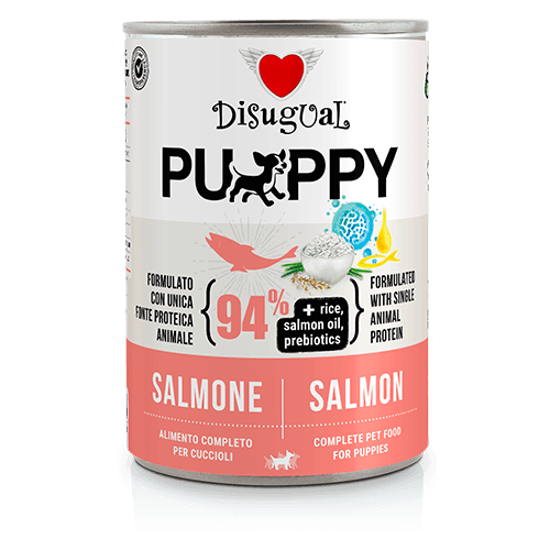 Disugual Cachorros Monoproteico con Salmón
