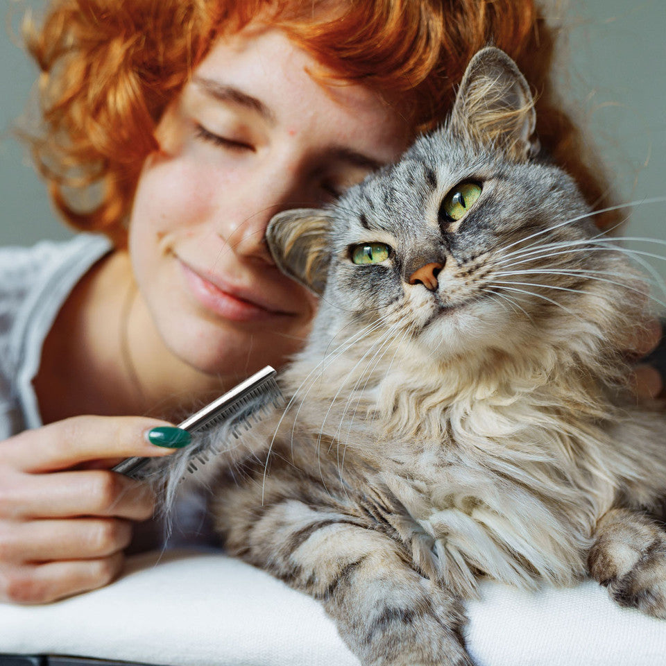 Peine ProGlide para gatos
