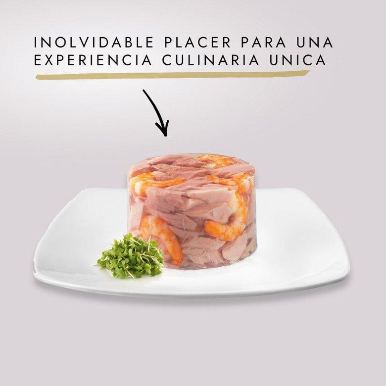 Gourmet Diamant Láminas Atún y Gambas (24x70gr)