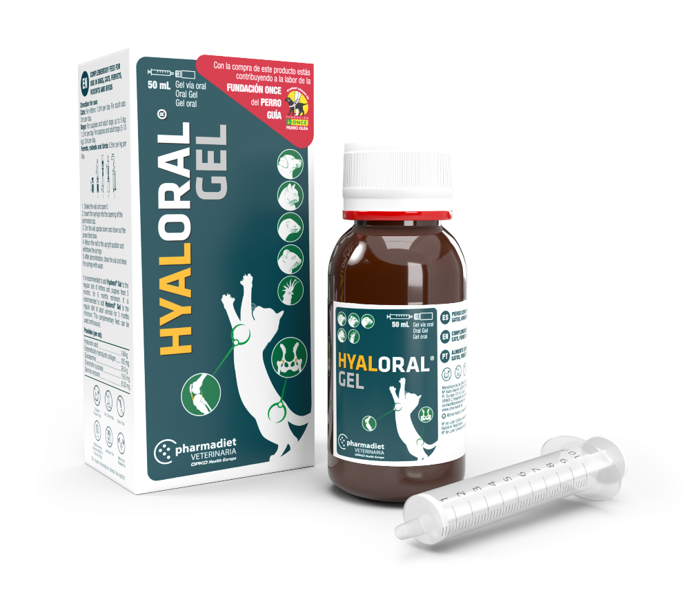 HYALORAL GEL cachorros y gatos (50ml)