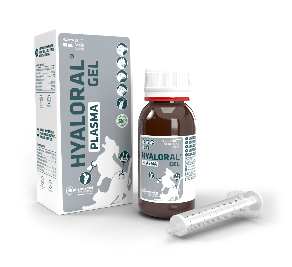 HYALORAL PLASMA GEL (50ml)