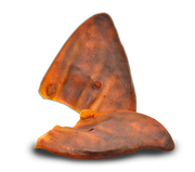 Alpha Spirit Oreja De Cerdo Individual Xl 25Ud