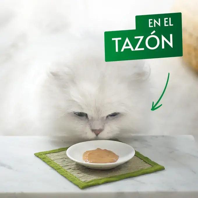 Nature's Creations Puré Salmón y Zanahoria (11x5x10gr)