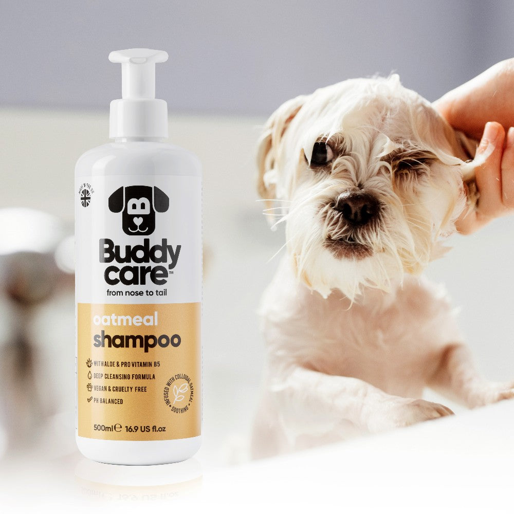 Oatmeal Dog SHAMPOO Buddycare (500ml)