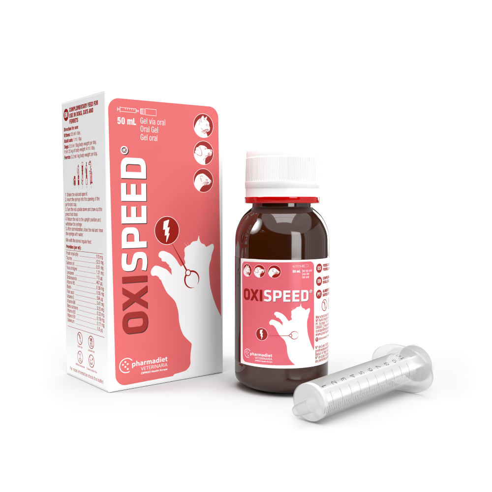 OXISPEED GEL gato (50ml)