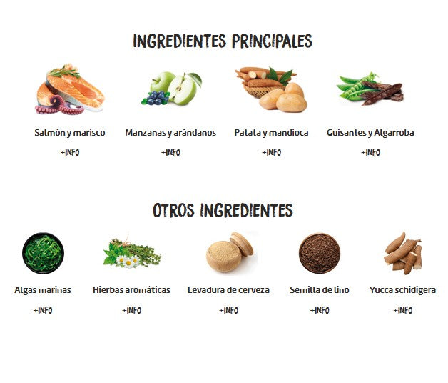 Ownat Just Canine Adult grain Free Salmon