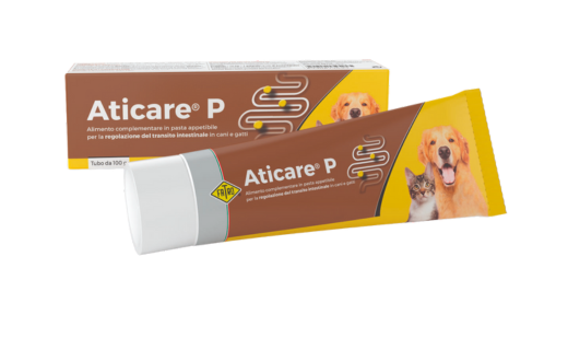 ATICARE (100g)