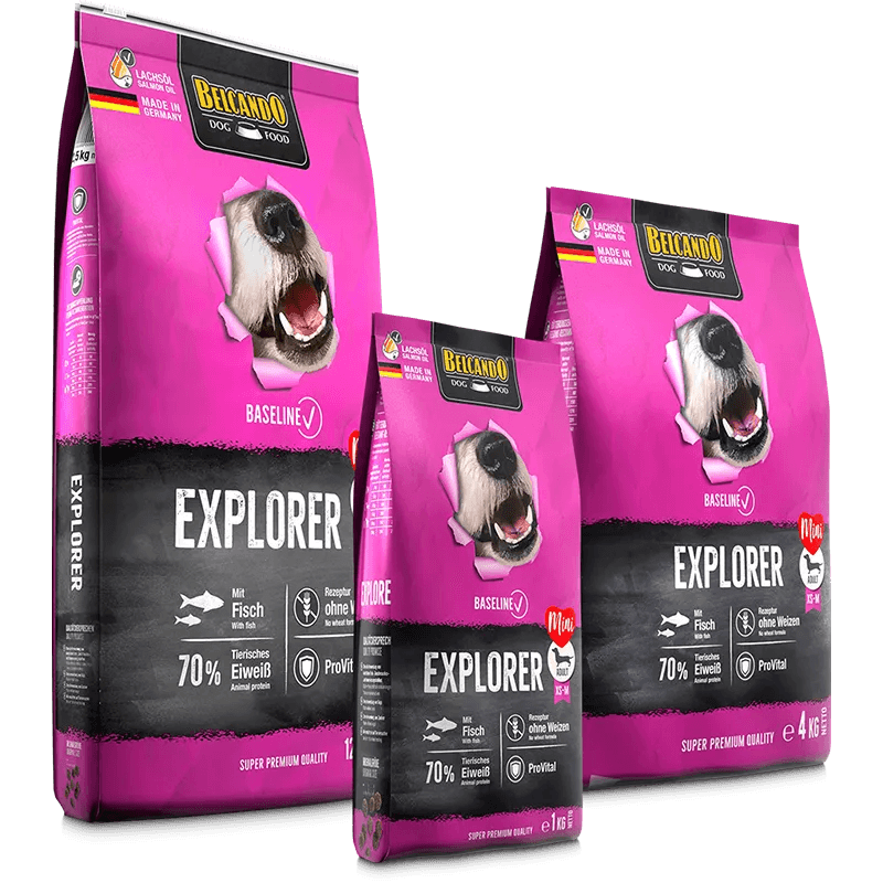 Pienso Belcando Baseline Explorer