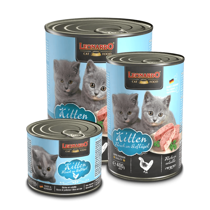 Leonardo Kitten Rico en Ave