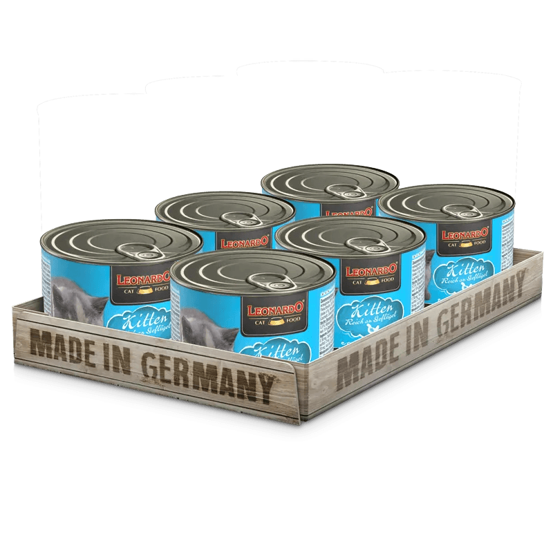 Leonardo Kitten Rico en Ave