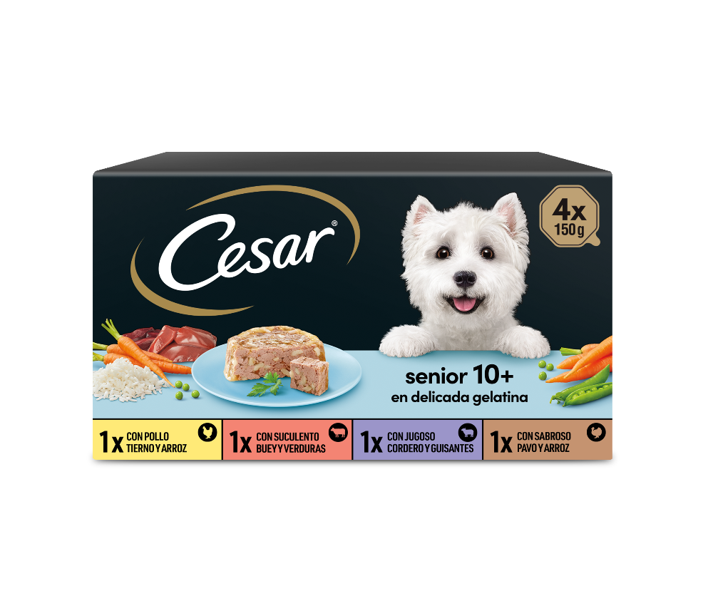 Cesar Senior 10+ Multipack (6 uds. de 4 x 150 g)